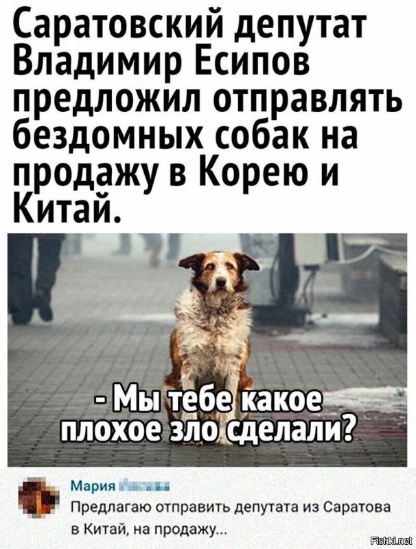 А депутат знает что почти год как в Китае законом запрещено есть собак и кошек?