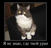 Веселые  картинки