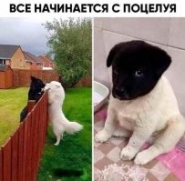 Смешные и познавательные картинки