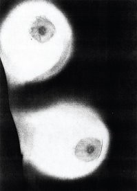 Наксерачили: ужасные ситуации, когда понадобился копировальный аппарат