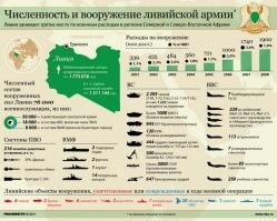 Каддафи хорошо вооружил свою страну
Но народ не захотел воевать
И теперь он - гниет на помойках европы