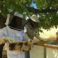 Справа - которая из подруг? Сколько таких "подруг" осталось вне кадра?