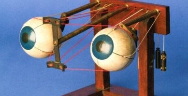 Я один это вижу? )