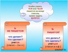 Насколько нужно быть умственно отсталым человеком, чтобы, дожив до возраста, когда пишешь тексты для порталов, не усвоить правило начальной школы? 

Откуда вы берётесь, выскочки недоразвитые?