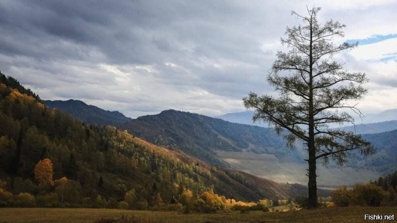 Пейзажи близ села Усть-Сема (Горный Алтай).
Это же рядом с тобой, да?