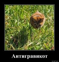 жертва гравикота?