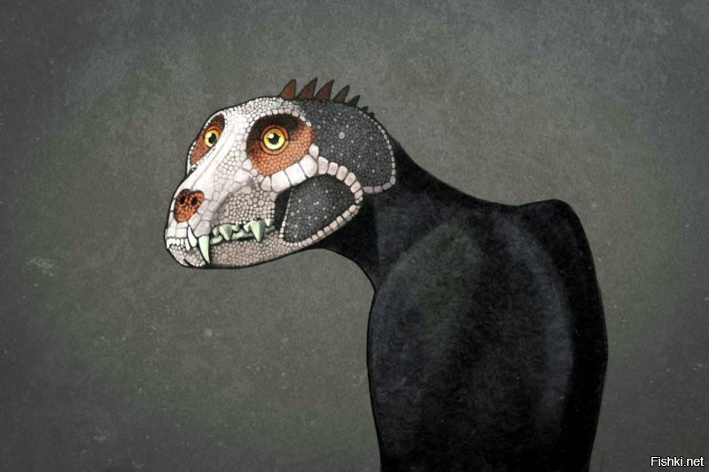 на 90 % современная палеонтология состоит из компьютерной графики воображения "типа ученых"
рисуют картинки животных "по одному коренному зубу"
если палеонтологи далекого будущего найдут кости современных нам собак, птиц, обезьян, слонов - нарисуют вот таких животин "чисто по костям, с высокой вероятностью достоверности"
котэ особо фееричен.....
.