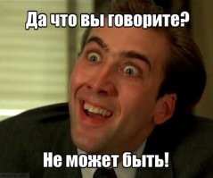 Пушистый дворовый авторитет испепеляет взглядом домашнего кота