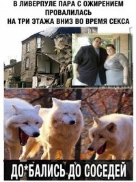 Веселые  картинки