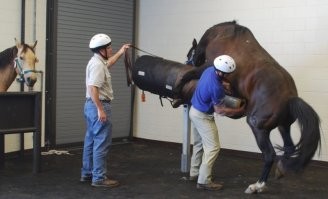 Ай, ну и пожалуйста...