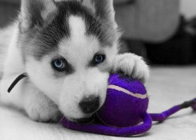 а если не получится, то этот вас пожалеет