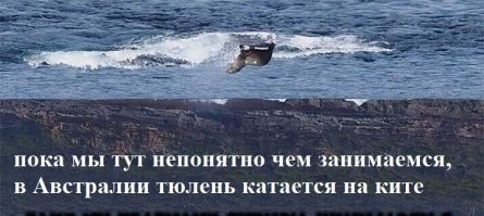 так же ж.