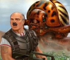 Главный полосатый вредитель: как появилось название колорадского жука?