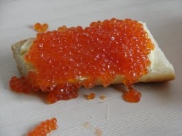 Подробное описание безумия, которое вытворяют рыбы, возвращаясь к нерестилищу