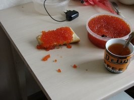 Подробное описание безумия, которое вытворяют рыбы, возвращаясь к нерестилищу