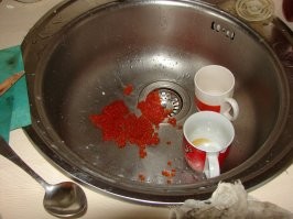 Подробное описание безумия, которое вытворяют рыбы, возвращаясь к нерестилищу