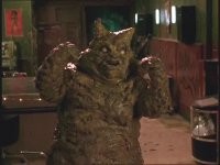 этот медведь?