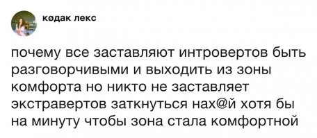 12 нелюдимых товарищей, чью боль поймут только интроверты