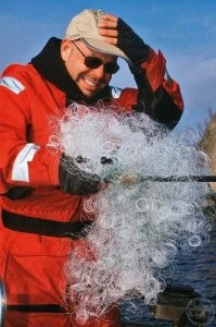 Смешные и познавательные картинки