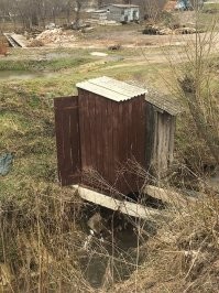 Медведь устроил засаду в яме под клозетом и ждал, с надеждой глядя на круглый проём над головой