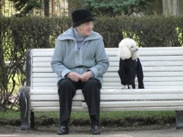 Вот тоже наблюдал