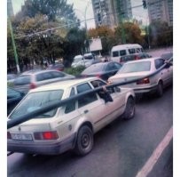 Смешные и познавательные картинки