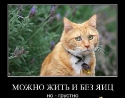 Веселые  картинки