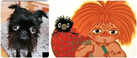 Побаяню немного.Демотиваторы