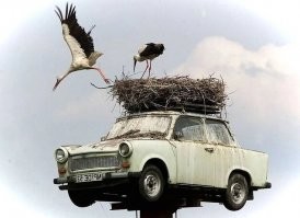 Подборка автомобильных приколов