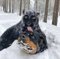 Фотоподборка