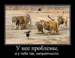 Побаяню немного.Демотиваторы