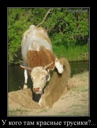 Побаяню немного.Демотиваторы