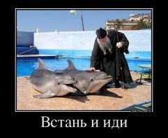 Смешные и познавательные картинки