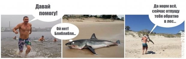 12 человек, которые чрезвычайно удачно начали год  