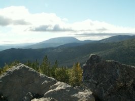 Ещё несколько.