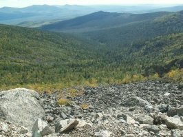 Ещё несколько.