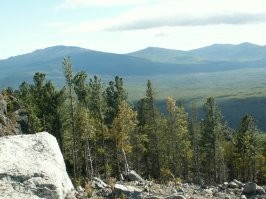 Ещё несколько.