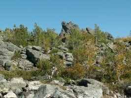 Ещё несколько.