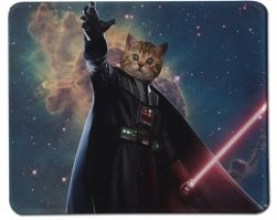 Не вытек! 
Его удерживает Сила! 
Сила поверхностного натяжения кота!