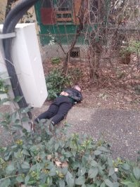 ага.сегодня такого пиратика с 60 граммами кладика приняли..лет на 6-8 поедет в места отдыха усиленного режима