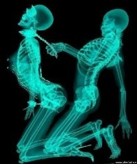 Рентгеновские снимки, которые открывают мир с неожиданной стороны