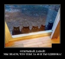 А ведь до снимка они все кому то дорогу перебежали.