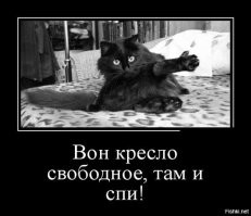 Образ кота в демотиваторах