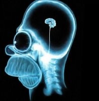 Истиный пиндос