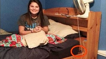 Веселые  картинки