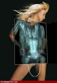 Рентгеновские снимки, которые открывают мир с неожиданной стороны