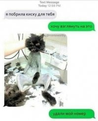 Подборка картинок. Вечерний выпуск  - 22.02.2021