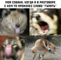 Смешные и познавательные картинки