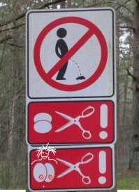 Новый тренд пластической хирургии: уменьшение