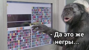 Смешные и познавательные картинки